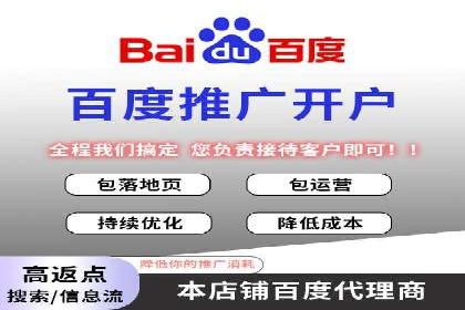 某电商平台的SEM策略与效果展示